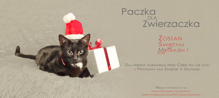 "Paczka dla Zwierzaczka", czyli jak zostać Świętym Mikołajem 2 10455 d5297c70583536384acf6a618123b55b