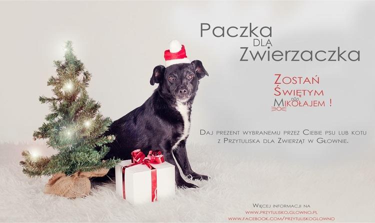 "Paczka dla Zwierzaczka", czyli jak zostać Świętym Mikołajem 1 10455 e1bc029344f58257ed8c23c4bf743738