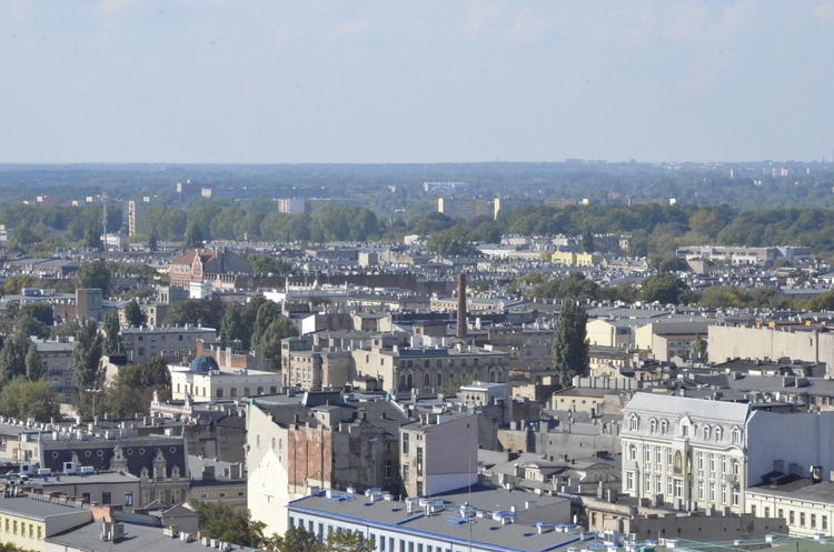 Łódzkie Centrum Obsługi Inwestorów najlepsze w kraju 1 11597 b1b2448541c9a86010bd5678ca03aeaf