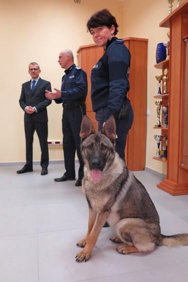 Bełchatowska policja ma nowego psa 2 13240 5b3d741859cb0c189cc0e27fcb0c476a