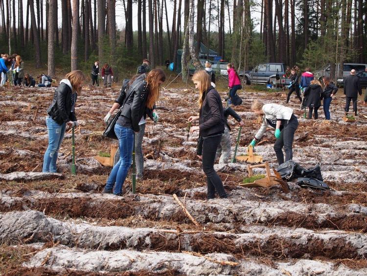 Akcja "Lasy pełne energii" w Sieradzu 1 13627 ac73de98c8eb5d640defd9a3e7ca774f