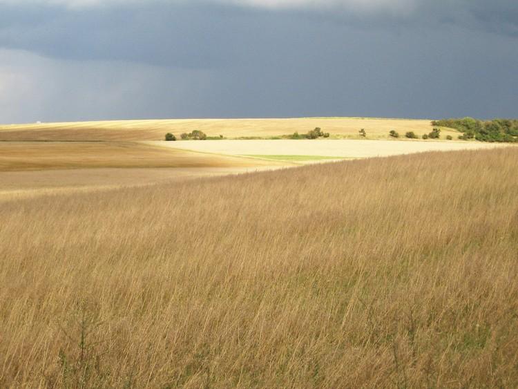 Ostatnie dwa tygodnie na wniosek o dopłaty 1 15014 78dc5369635a40d5307184340cf629cf