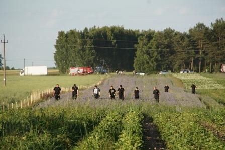 Ponad 31 tysięcy krzewów konopi indyjskich pod Tomaszowem 1 16011 4178a1abf6b04140a47c250f6156ef58