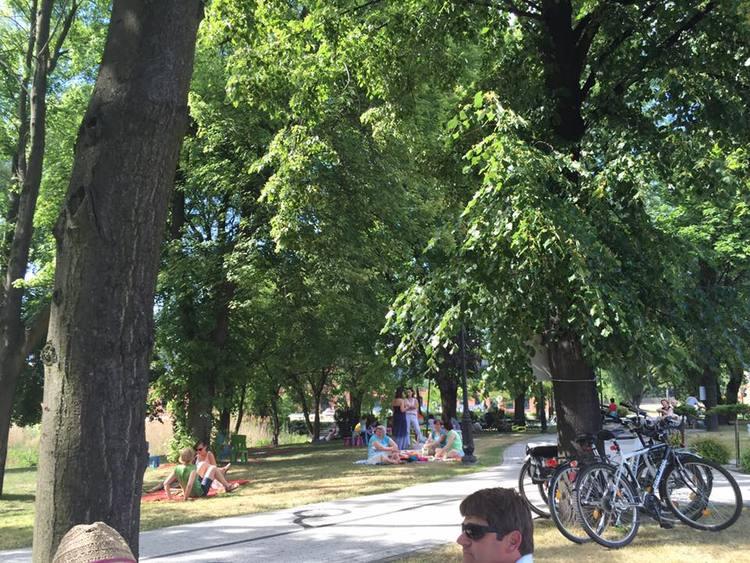 Muzycznie u Grohmana 1 16240 0f5f806a4336e362c4bfb35304428dbb