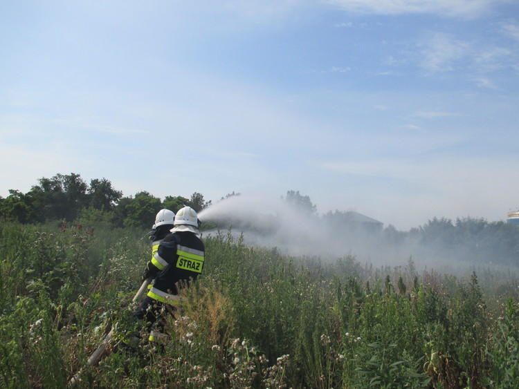 Pożar na Widzewie. Płoną pola 1 17366 5c31f8a6358b3a1dd642bc0fd8d81c57