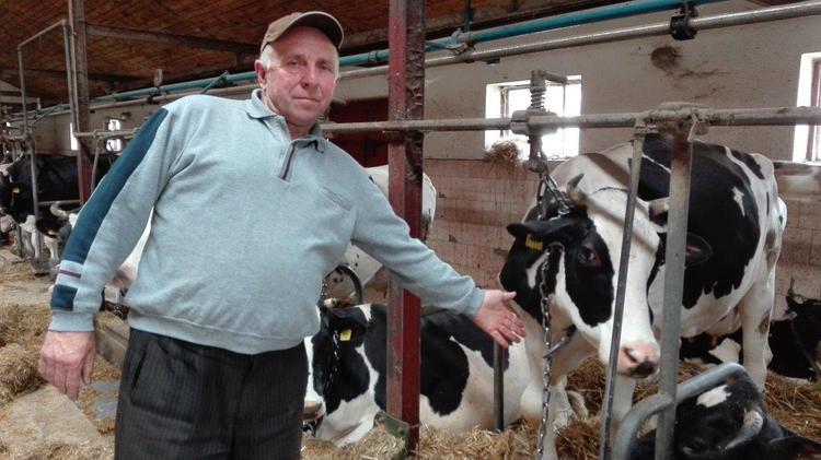 Złoczewska odkrywka. Będą zyski, ale mleka nie będzie 1 17898 c1250f0c48a93f077e1af6624fc16499