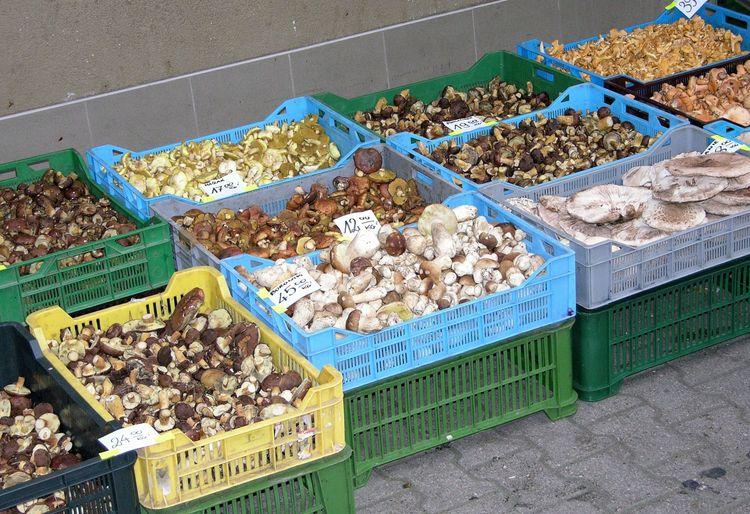 Grzybobranie. 10 najpopularniejszych gatunków 2 18435 93a3a8d3c2be0428c63963676020a087