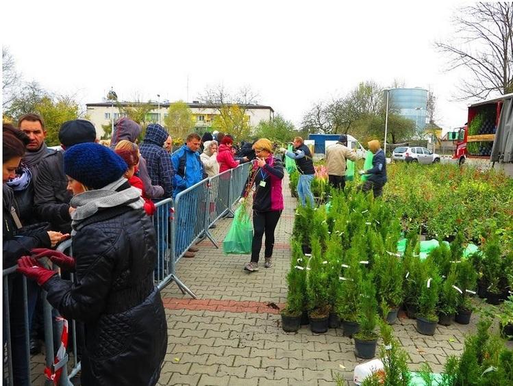 "Drzewko za makulaturę" w Bełchatowie 1 18441 89b0276d484f4b6dd664877289ebe2ab
