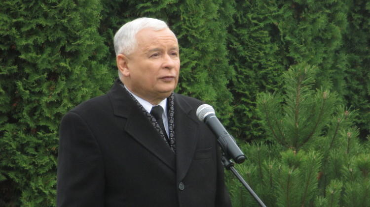 PIS: Zielona wyspa została zatopiona 4 18622 6f899d09ce5b34f8e4806911f744cf47