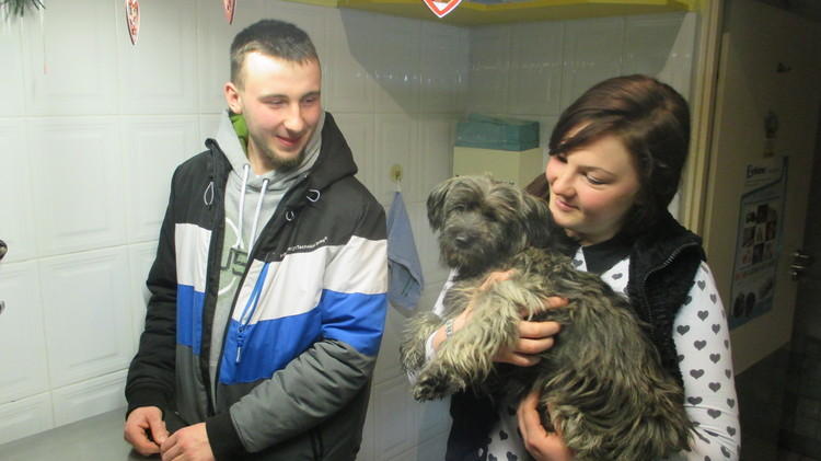 Dzięki interwencji Radia Łódź pies uratowany z pożaru znalazł nowy dom 2 20831 7d3d985da798a59c56a07eee53ce9b94