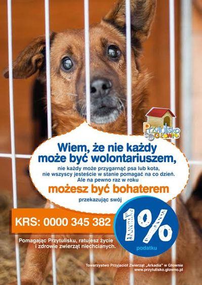 Przytulisko dla Zwierząt w Głownie. "Prosimy o pomoc" 2 23036 c0d5aa95cd87d60ae5fb3de76d147994