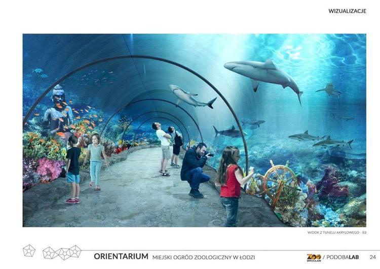Orientarium w Łodzi. "Chcemy utworzyć spółkę miejską, która zajmie się inwestycją" 1 23076 8c135542107bed47539748d8bf91605a