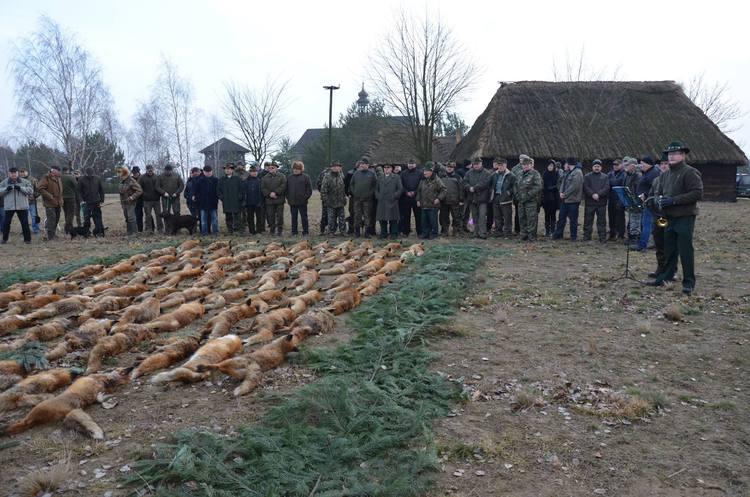 Myśliwi będą reagować na krytykę i groźby 1 23187 97d2ef4bba3465cac989edaf4ec29a3a