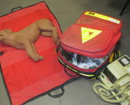 23286 9bd99cc7828a90444661d69e88fe62e9