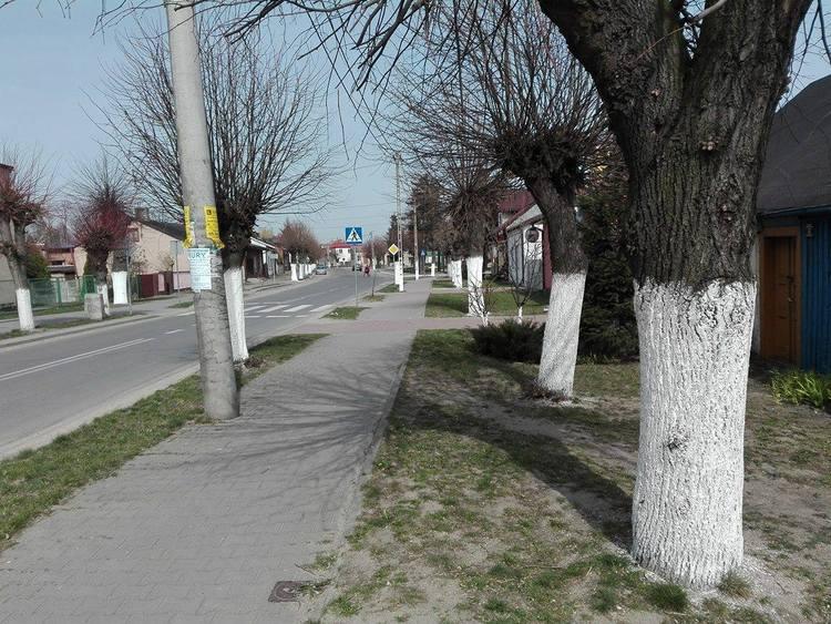 Niezwykła tradycja w Dąbrowicach koło Kutna 1 23968 12b0b70322dac0aa00559856728ca9f2