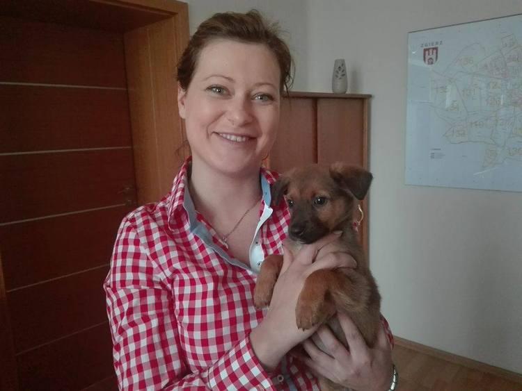 Zgierscy urzędnicy przygarnęli psa. Pomóż wybrać dla niego imię 1 24042 026a0816284fc3fd8e2823509a8ae30b