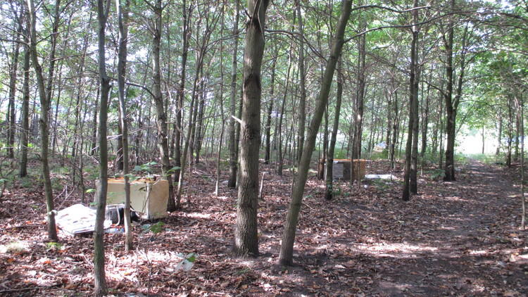 Ogień, wnyki, spaliny. Leśne licha 1 24485 639cd41e751fde91a59724a1fdcdf160
