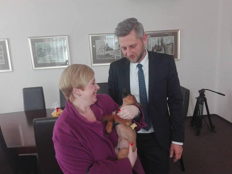 Zgierscy urzędnicy przygarnęli psa. Jak go nazwali? 1 24570 73a29e034aca14620be2289bd0a75f15