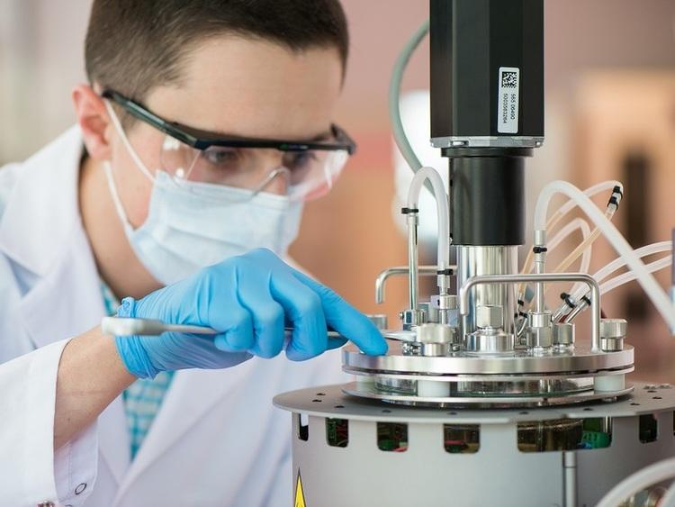 Żywność, leki, technologia. Biotechnologiczne oblicze Łodzi 1 24907 a730781433263121011aca65152fcfc8