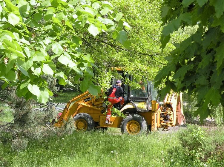 Radomszczański Park Świętojański zyska nowy blask 1 25307 d3371bdca7cf0801b75b7a8d206aa781