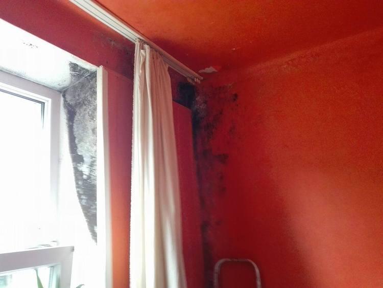 Interwencja Radia Łódź. "Grzyb na ścianach, brak toalety" 1 25761 3394d9fd2813d29b21422685c1b3ab32