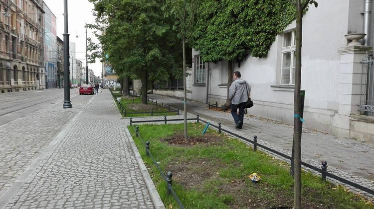 Kilińskiego w Łodzi wypięknieje. "Zieleń i iluminacja" 1 25800 85c92842105de7c33e45695bfabf4a7b