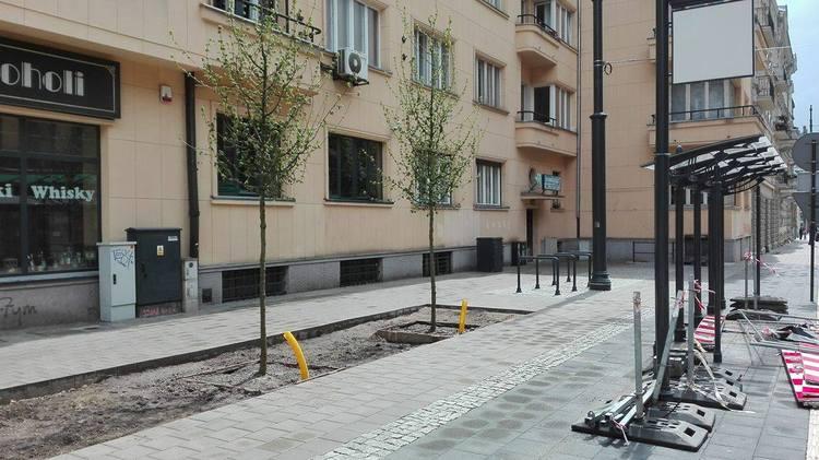 Kilińskiego w Łodzi wypięknieje. "Zieleń i iluminacja" 2 25800 dfa2c0c0de4ff2ec4b1f1d713d3dc151