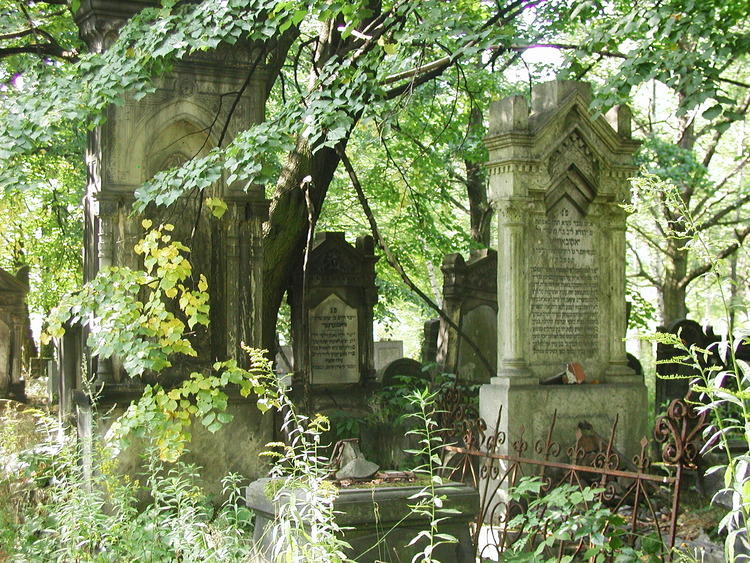 Walcząc o prestiżowy zapis. Znak UNESCO dla Cmentarza Żydowskiego 1 26007 3a9626551243b6f9a0c3839915bdeb79