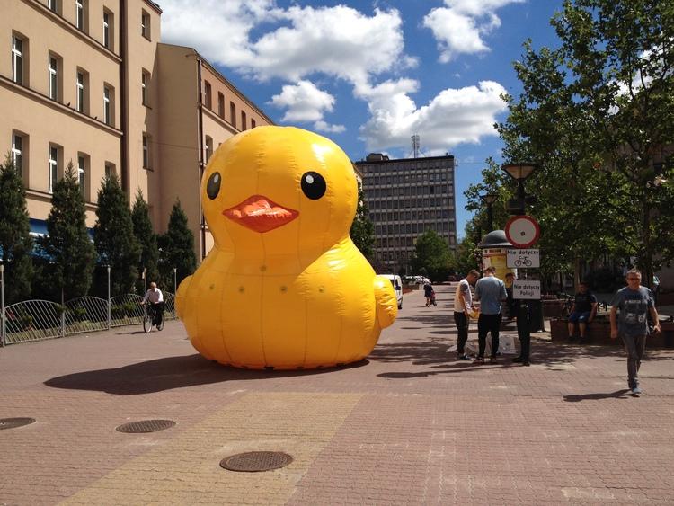 Akademia Duckie Deck. O współczesnych technologiach dla najmłodszych 1 26890 55b4c6a534903273880e24a254bd0d05