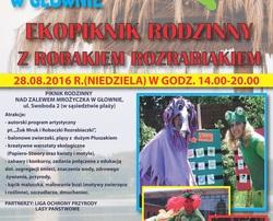 27081 9e419baaf2959fe0946797ae5678754e