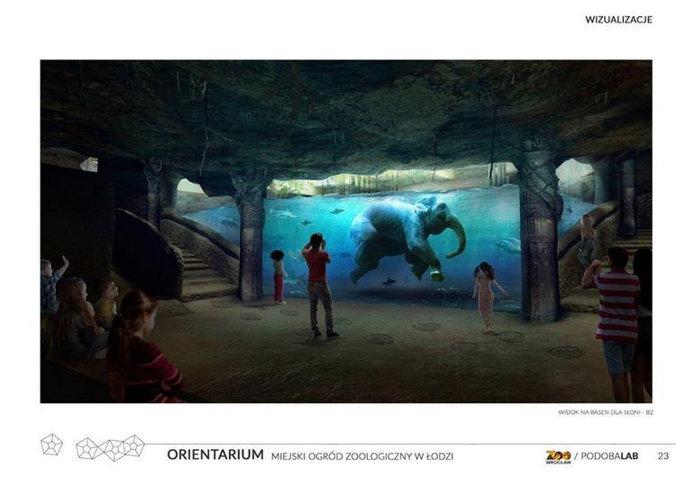 Rozstrzygnięty przetarg na wykonawcę Orientarium 1 28907 bd22b4a10ded9a7c07a273204db5ce72