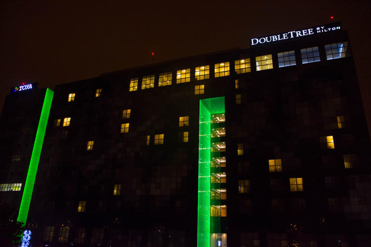 Zielona solidarność. Dzień Mózgowego Porażenia Dziecięcego 3 29032 9380ab2b3aacec457bbcd434b5bbb43d
