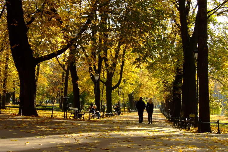 Co robić w Łodzi w listopadzie? Sprawdź harmonogram wydarzeń 1 29668 f17f9d3a2d0fe83c81c01d2b846abbaf