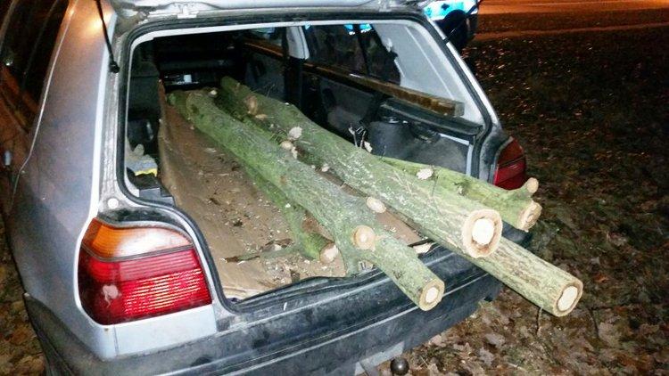 Kradł drewno z terenów zielonych. Na gorącym uczynku przyłapał go policjant po służbie 1 30605 bf5fcfcf7071b06baf4d8dd4f1a7fbe4