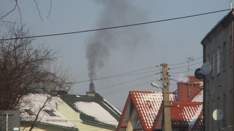 Łódzcy radni apelują o systemowe rozwiązania w walce ze smogiem 1 31909 4b8f406659600a45c91b1a306d07eded