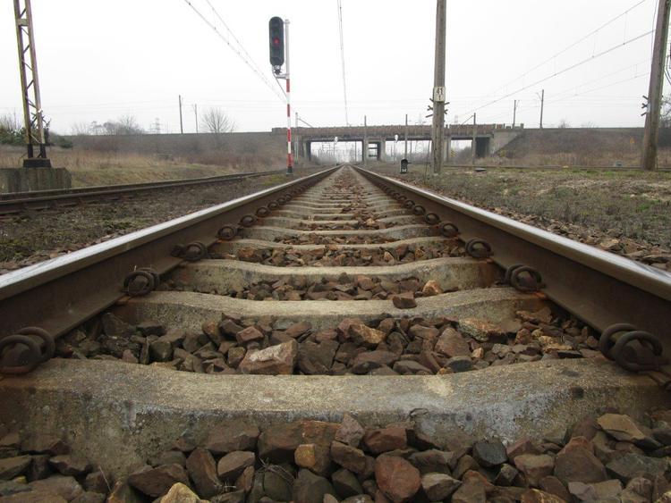 Koleje Mazowieckie chcą jeździć do Łodzi 1 32372 da1547708b66a1a66f5600f9217f5cbf