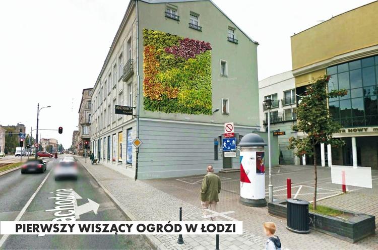 W Łodzi powstanie żywy, wiszący ogród 1 32944 93086359629868b8f1b513ebbb55cced