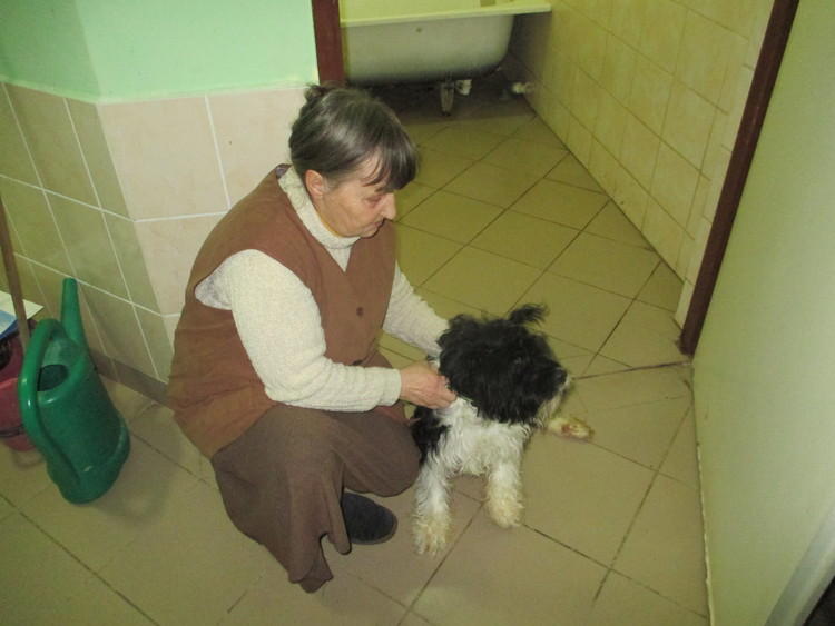 Zbierają pieniądze na wózek dla psa 1 32968 218faf4192130b69d872ae1550488d5c