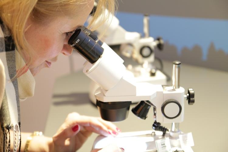 Zagrożenia równowagi biologicznej | Szkiełko i oko 1 33733 9a4731ba9624c752fd0b87e57ccaa177
