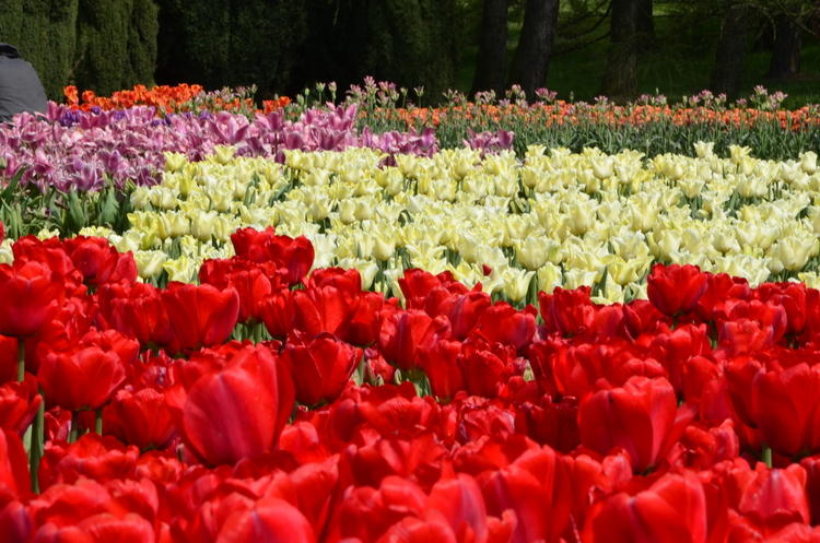 Atrakcje w łódzkim Ogrodzie Botanicznym | Jestem Eko 1 34798 fefe273b6de1cb2044fbf1c52c1eb863