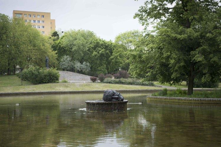 Głowa Jana Chrzciciela w Parku Staromiejskim 1 35979 027f761d7d884905eecce80f76f0f4de