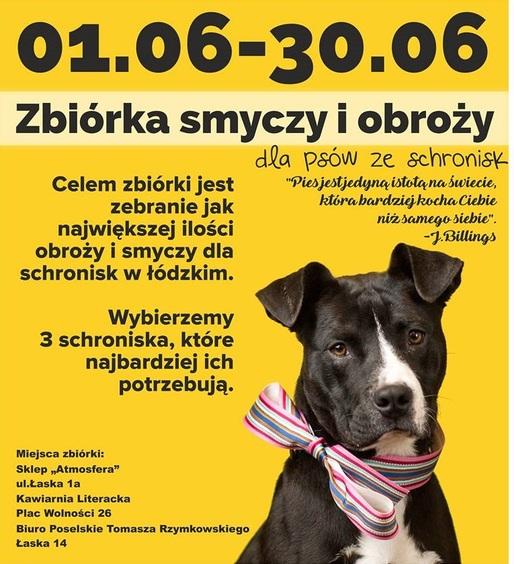Zbierają smycze by psy mogły wyjść z kojców 2 36141 a4dc81cb0f91ceb23c2e1ae2c631e632