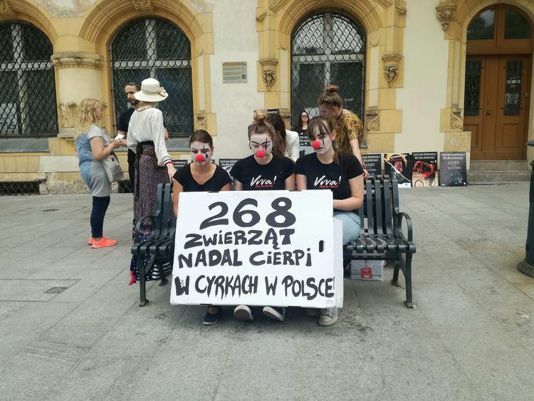 Protest w obronie zwierząt 1 36234 284771d05a74dcdf756eaafcb57cf370