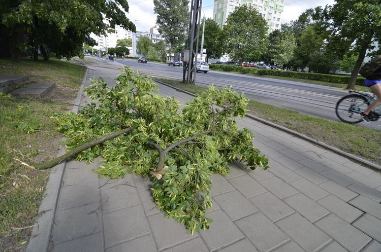 Kolejne wiosenne burze. Problemy z prądem i przejazdem 1 36302 3ae0ccc3ce623c4c2fdf369f7238cd36