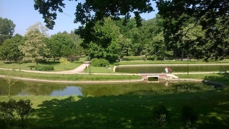 Królik po łódzku. Awangardowy Helenów 1 36408 93bb8daf2bc784b7625c25fe6293e846