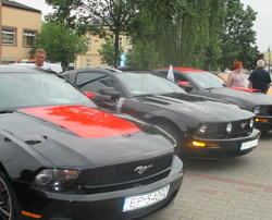 36601 f1726bb4acafea10fd8cfec6727d8f11