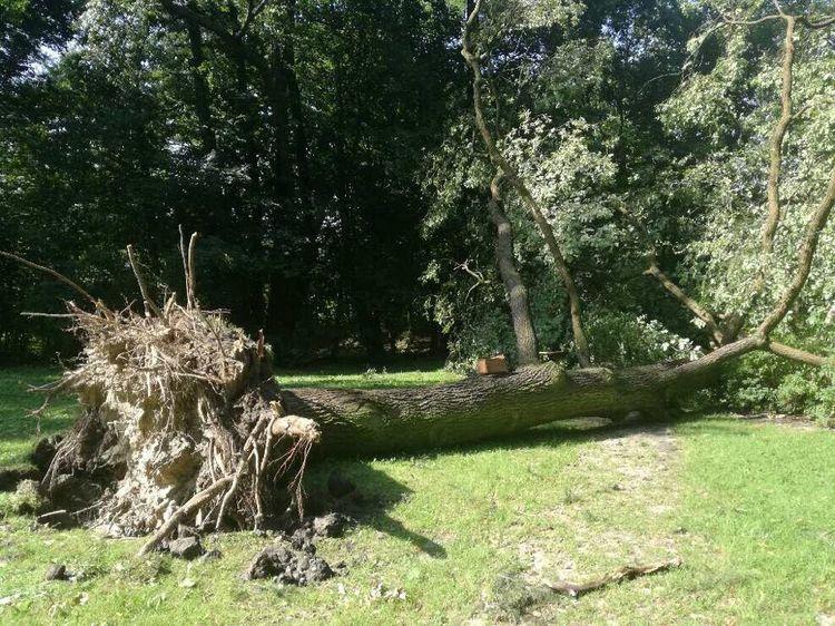 Brak prądu i zakaz wstępu do parków. Łódzki krajobraz po czwartkowej nawałnicy 1 37809 37079089b9f42fa64b0796174fe94a03