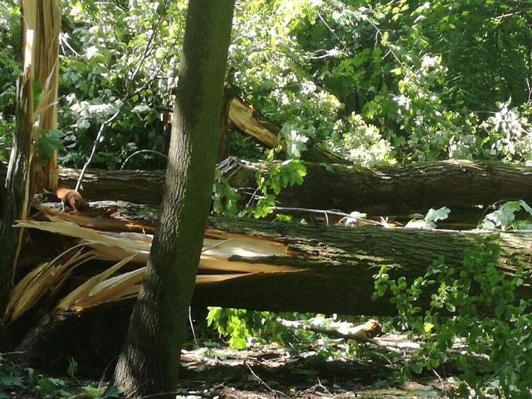 Tragedia w Suszku. Nie żyją dwie harcerki z Łódzkiego 1 37817 489ce037b176599cefbd80375df12692