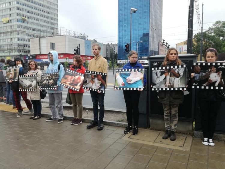 Akcja przeciwko przemysłowej hodowli zwierząt | Jestem Eko 1 38313 b60c9353e5328dd307dbafc889647430