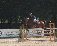 38911 455efd840471eed4991b901acffe7ab8